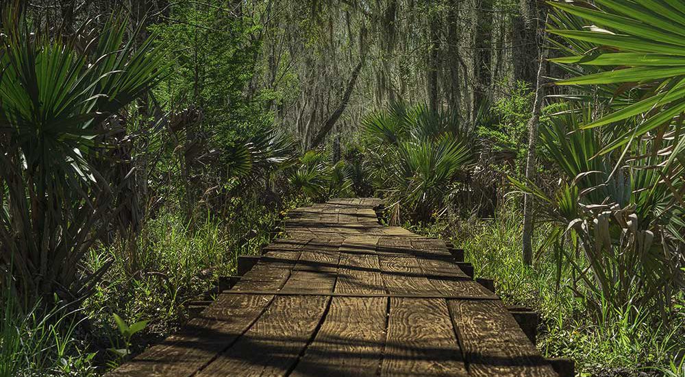 Big Cypress RV Trail