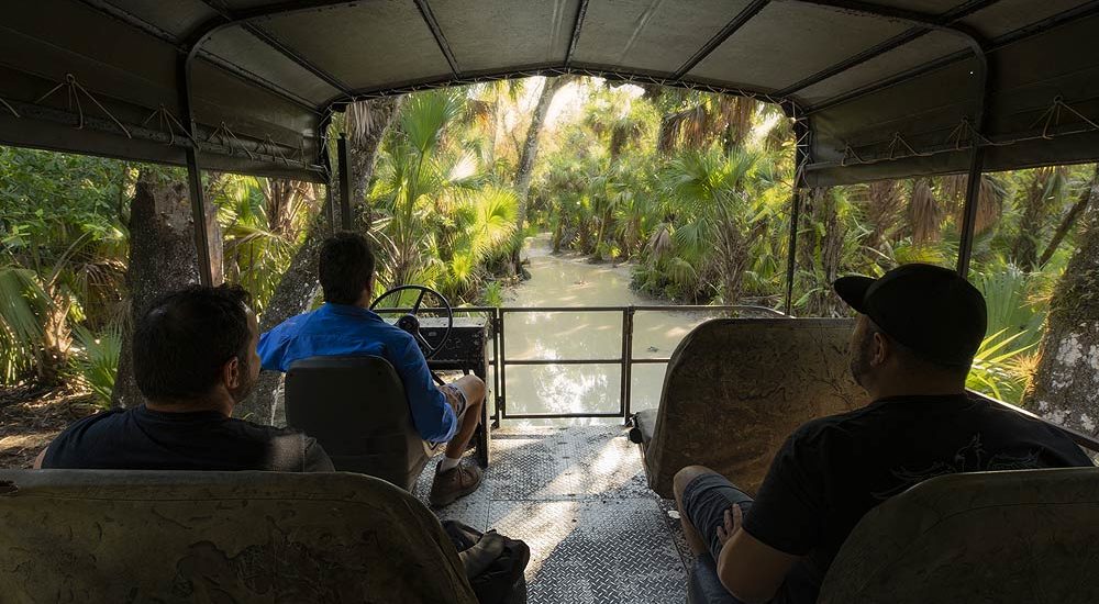 Billie Swamp Safari